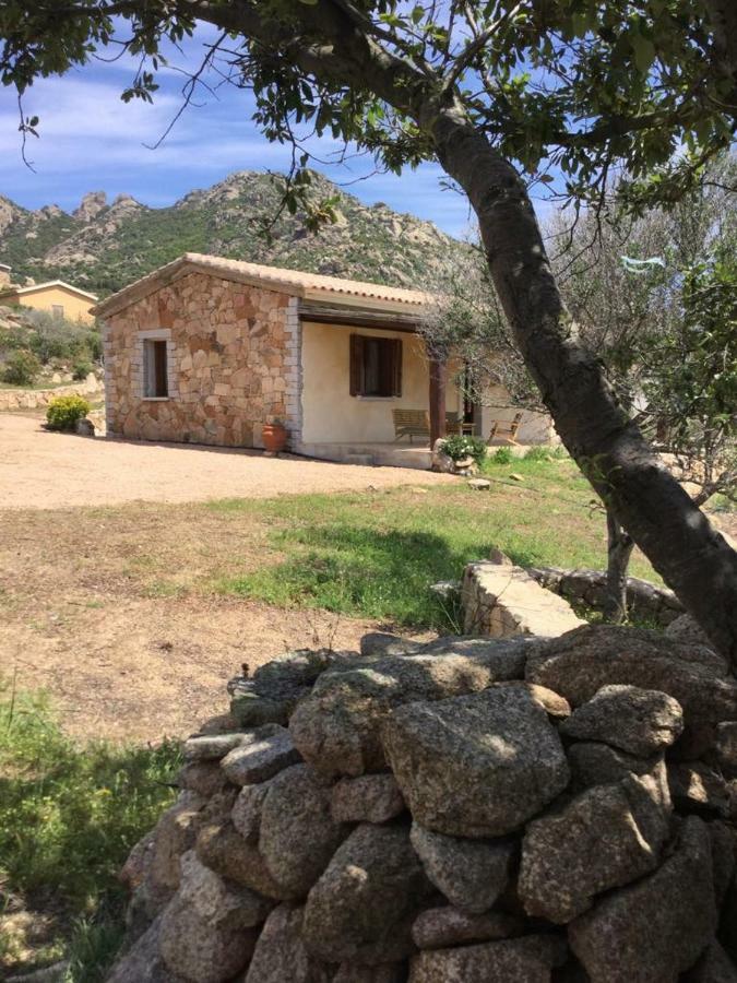 Tenuta Su Mastru Holiday home Olbia