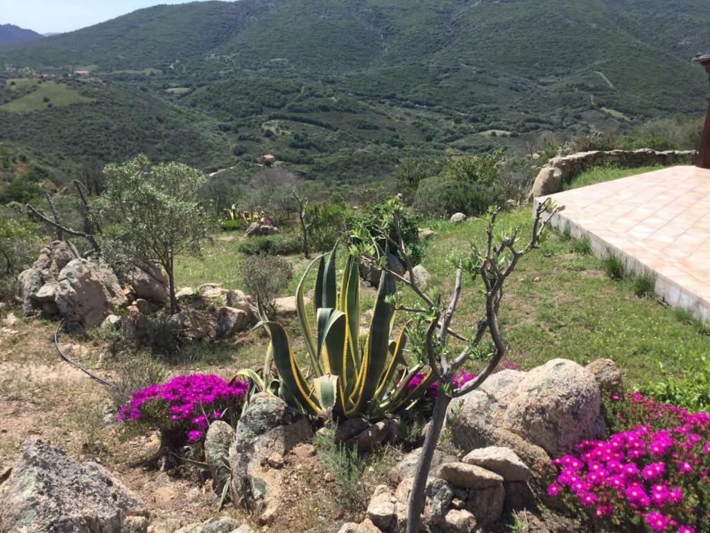 Tenuta Su Mastru Holiday home