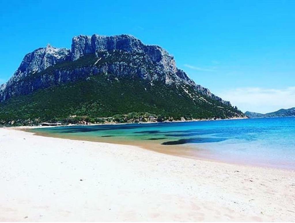 Tenuta Su Mastru Holiday home Olbia